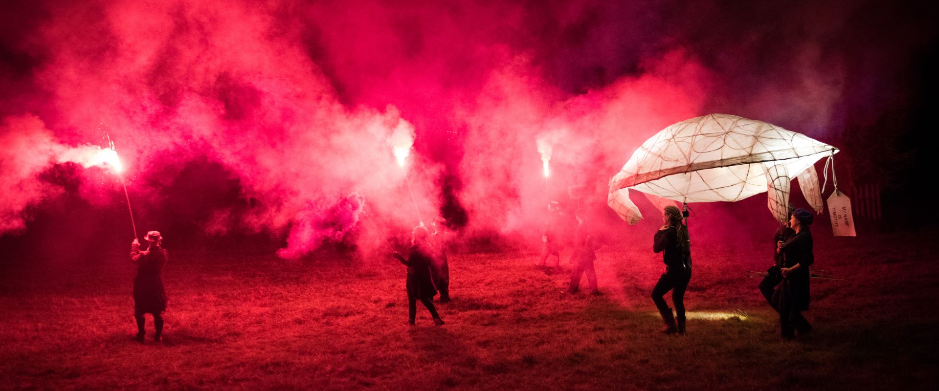 A giant Timothy the Tortoise lantern is processed into the night, lead by three celebrants The Digger of Holes, The Constant Consoler, and The Keeper of the Notes, holding up bright red smoking flares.