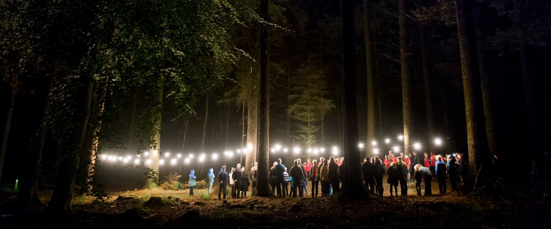 The audience in the first at night, gathered amongst the trees, illuminated by the festoon lighting that hangs above them.